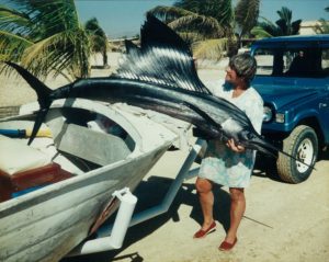 fish6
